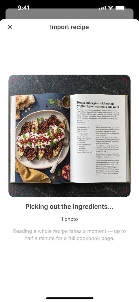 SuperPlan importing the recipe from a photo of the cookbook page: a scan line passes over the photo while it picks out the ingredients